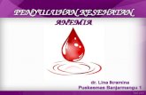 Penyuluhan kesehatan Anemia dan kelainan darah