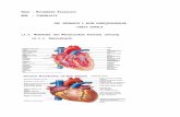 Pbl Skenario 1 Blok Kardiovaskular