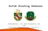 Defek Dinding Abdomen-dr. Rio