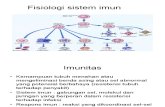 Fisiologi Sistem Imun