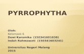dewik new pyrophyta (2).pptx