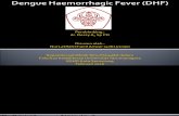 Dengue Haemorrhagic Fever (DHF)
