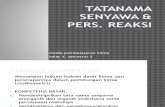 Tatanama Senyawa & Pers Reaksi