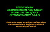 Pengelolaan Agroekosistem Padi Sawah Model System of Rice Intensification (Sri)