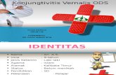 185995662 Ppt Intan Konjungtivitis Vernalis