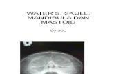 Water’s, Skull, Mandibula Dan Mastoid