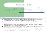 flavonoid (1).ppt