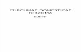Curcumae Domesticae Rhizoma Edited