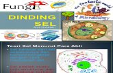 DINDING SEL.ppt