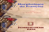 Morphologie Du Français-bab3
