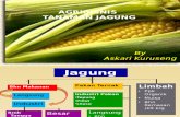 Agribisnis Jagung (PP 2014)