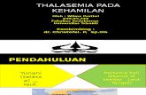 Pp Thalasemia Refrat Wilma