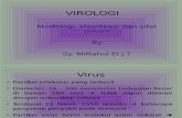 Virus-klasifikasi, Sifat, Genetika