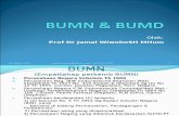 BUMN & BUMD-3