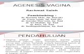 PP Agenesis vagina_final.pptx