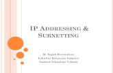 IP Address Subneting
