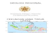 geologi regional daerah bojonegoro