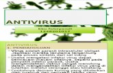 Antivirus Eko