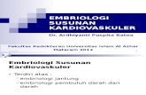 Dr.ardhy-embriologi Susunan Kardiovaskuler