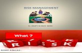 7. Risk Management Edit Arjaty