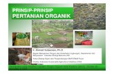 Prinsip Pertanian Organik [Compatibility Mode].pdf