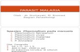 Malaria Oktober 2012 Oke