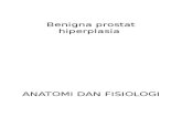 Benigna prostat hiperplasia.pptx