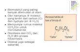 Carbohydrate Slide