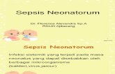 Sepsis Neonatorum DKK