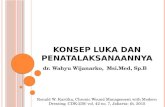 Konsep Luka Dan Penatalaksanaannya - Dr. Wahyu Wijanarko, Msi.med, Sp.b