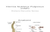 Hernia Nukleus Pulposus (HNP).pptx