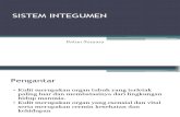 Pengantar Sistem Integument_0