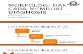 Morfologi Dan Cara Membuat Diagnosis kulit