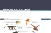 2015 Evolusi Evolusi Manusia