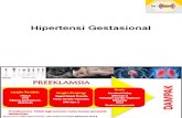 hipertensi gestasional 2016