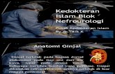 Kedokteran Islam Blok 17 Nephro Urologi.fixpptx