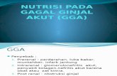 Nutrisi Pada Gagal Ginjal Akut (Gga) (2)