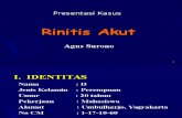 Presentasi Kasus Rhinitis Akut