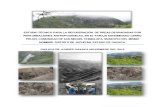 Cf4. Estudio Para Recuperar Áreas Degradadas en Cerro Pelon