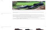 10 Pengrajin Sepatu Pantofel Kulit Handmade Asli Indonesia