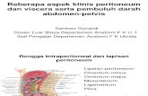 (KP12M4) Dr. Sasanto - Beberapa Aspek Klinis Peritoneum Dan Viscera Abdomen-plevis