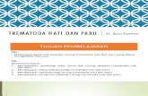Trematoda Hati dan Paru.pdf