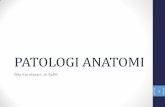 Patologi Anatomi Introduksi s1 Fkm