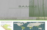 BAMBU-sitema constructivo