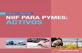 NIFF Para Pymes