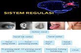 Biologi - Sistem Regulasi