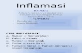 Obat Anti Inflamasi (D-1v)