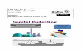 Lab Capital Budgeting