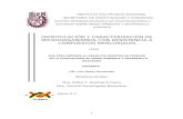 tesis de caracterizacion para resistencia de mercurio}.pdf