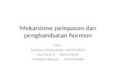 Pelepasan Dan Pengaturan Hormon Di Otak